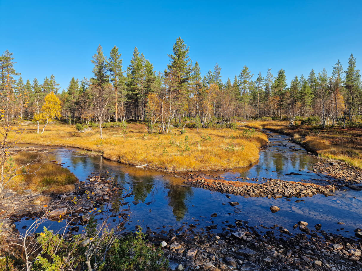 Patikointi, Saariselkä.