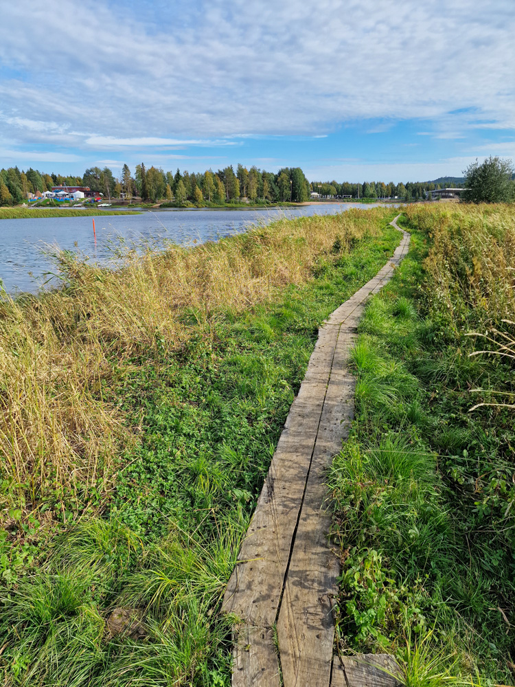 Pitkospuut Koivusaaren luontopolun alussa