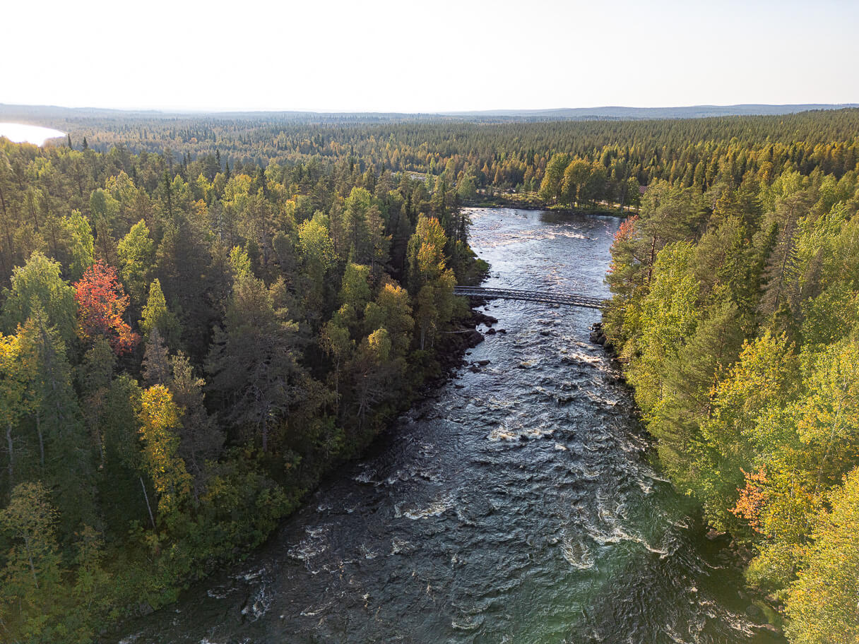 Vaattunkiköngäs ja riippusilta ilmakuvassa,  Napapiirin retkeilyalue, Rovaniemi