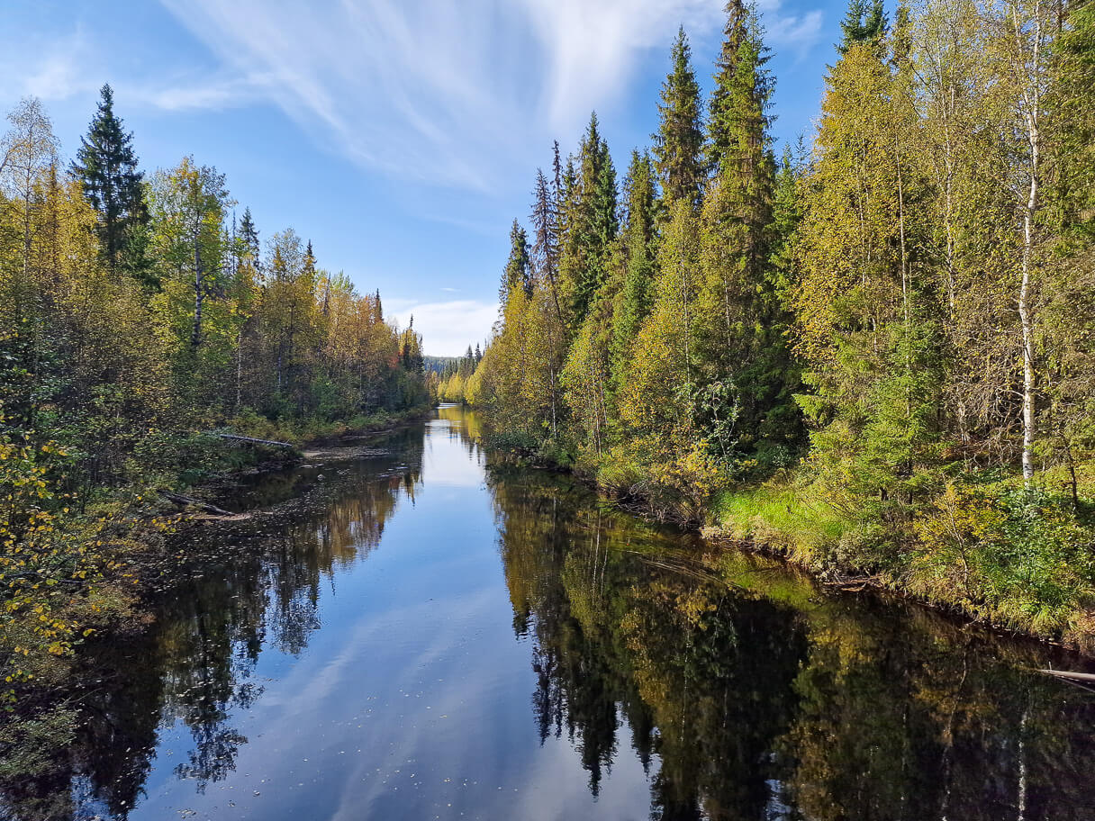 Näkymä Auttijoen riippusillalta Rovaniemellä