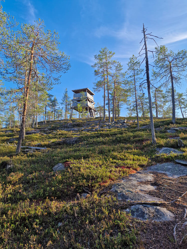 Könkäänvaaran näkötorni, Auttikönkään luontopolku, Rovaniemi