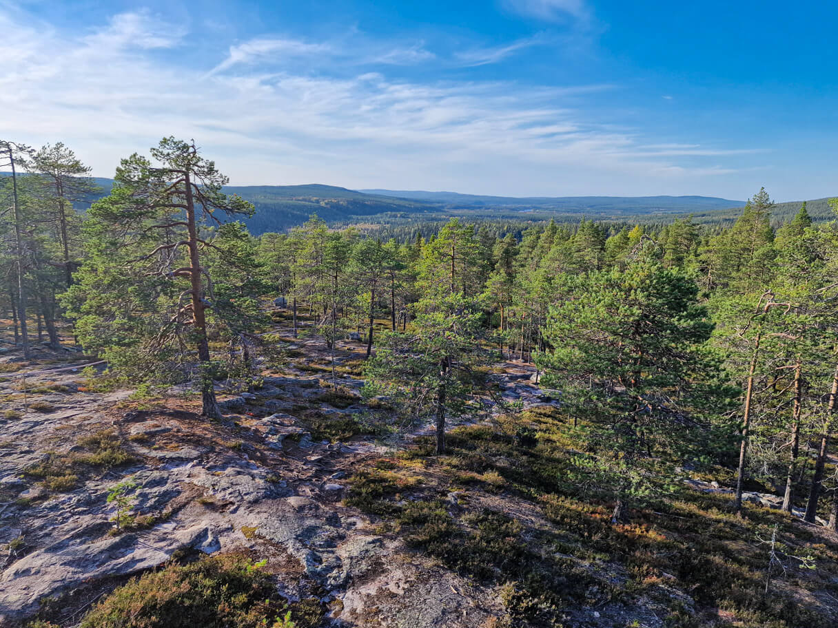 Näkymä Könkäänvaaran näkötornista, Auttikönkään luontopolku, Rovaniemi