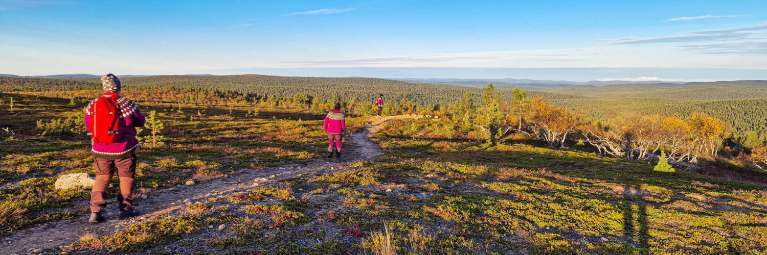 Kaunispää, Saariselkä