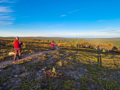 Kaunispää, Saariselkä