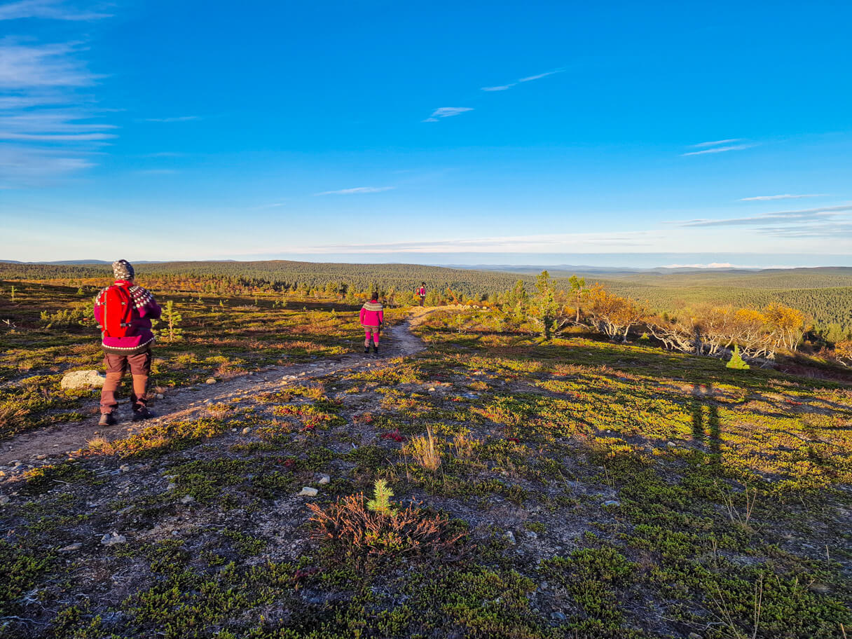 Kaunispää-tunturi, Saariselkä.