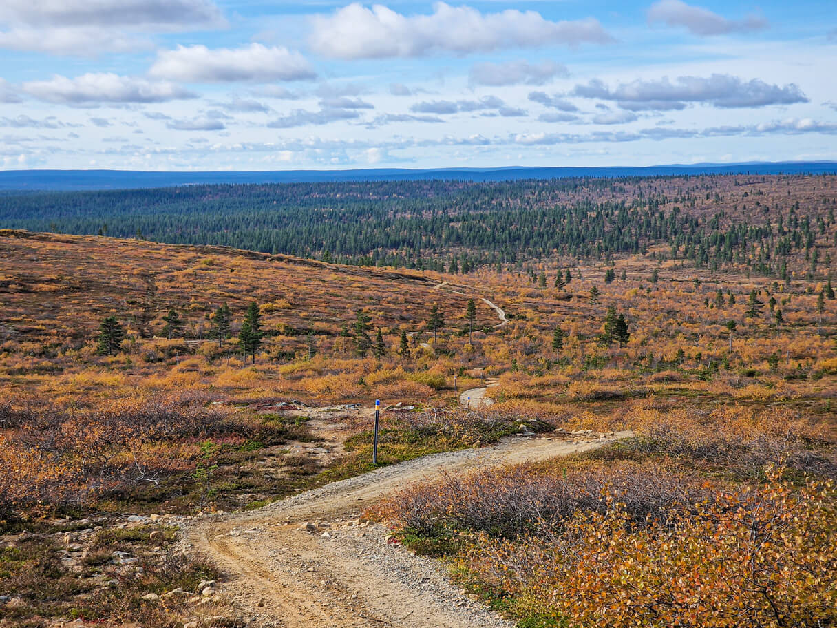 Ruska, Saariselkä.