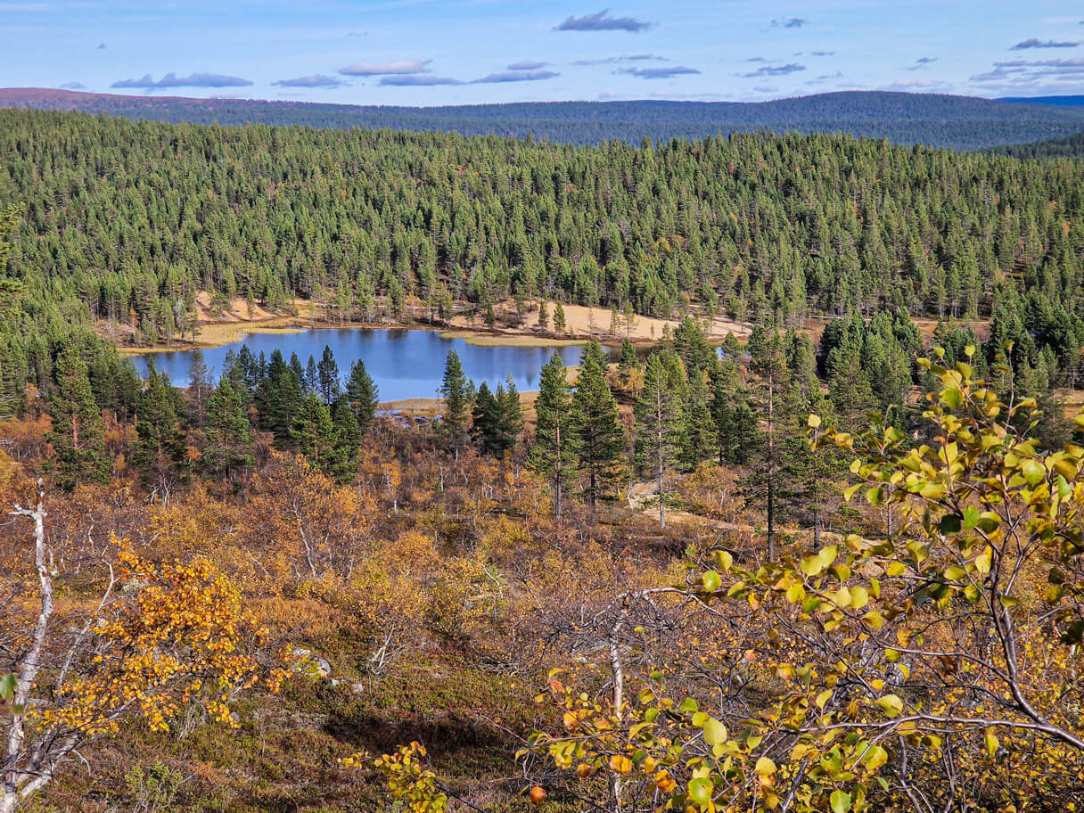 Luulampi Saariselällä