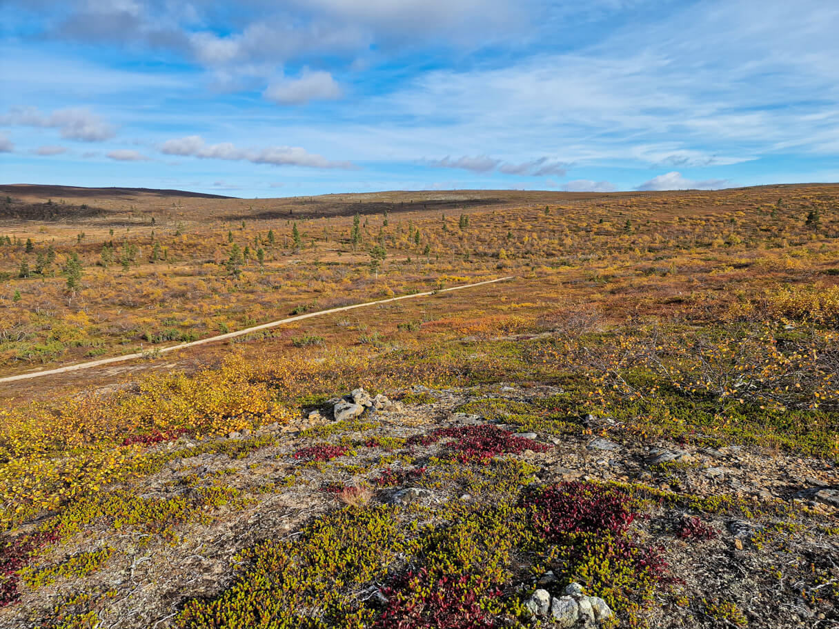 Ruska, Saariselkä.