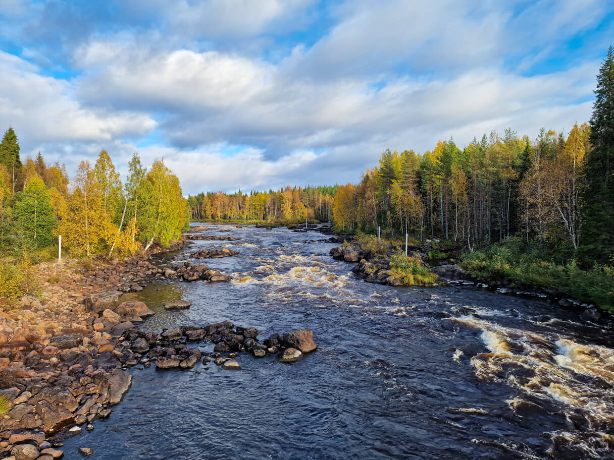 Näkymä Vikakönkään riippusillalta ruskan aikaan