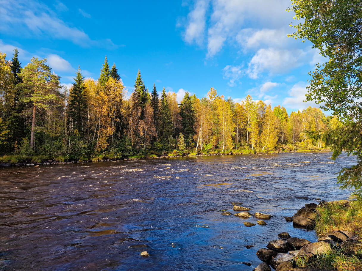 Näkymä Vaattunkijoelta ruskan aikaan.