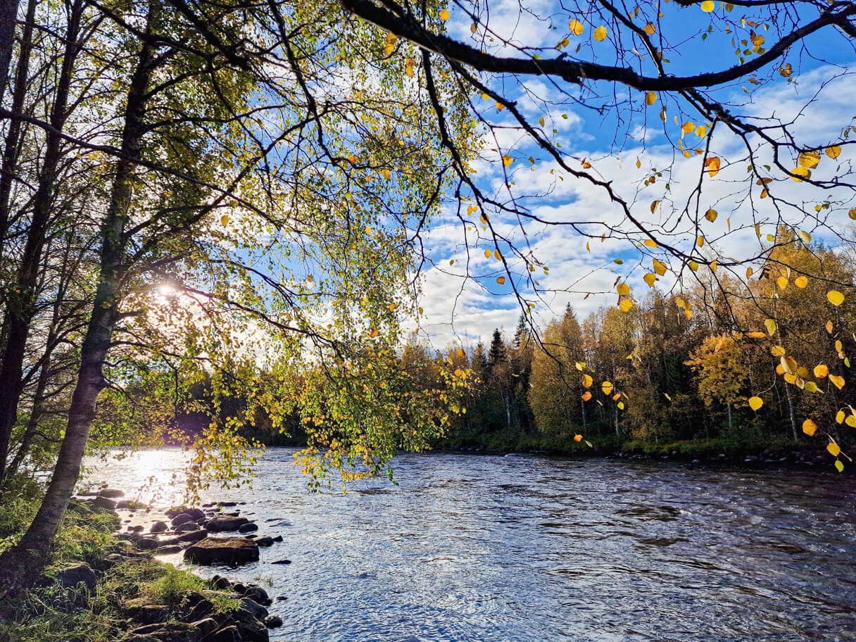 Näkymä Vaattunkijoelta ruskan aikaan.