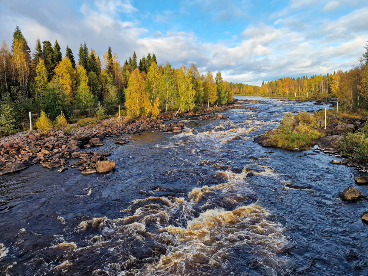 Näkymä Vikakönkään riippusillalta ruskan aikaan