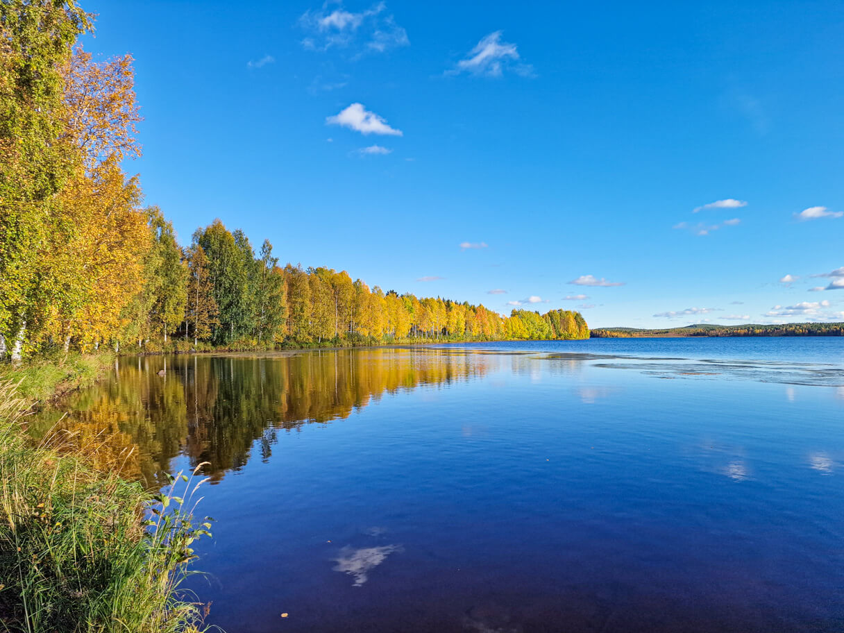 Kolpeneenharjun ruskaa Rovaniemellä.